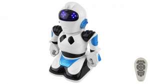 Интерактивный робот Robokid