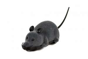 Мышка на радиоуправлении CS toys (16 см)